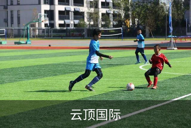 云顶国际公司简介图片